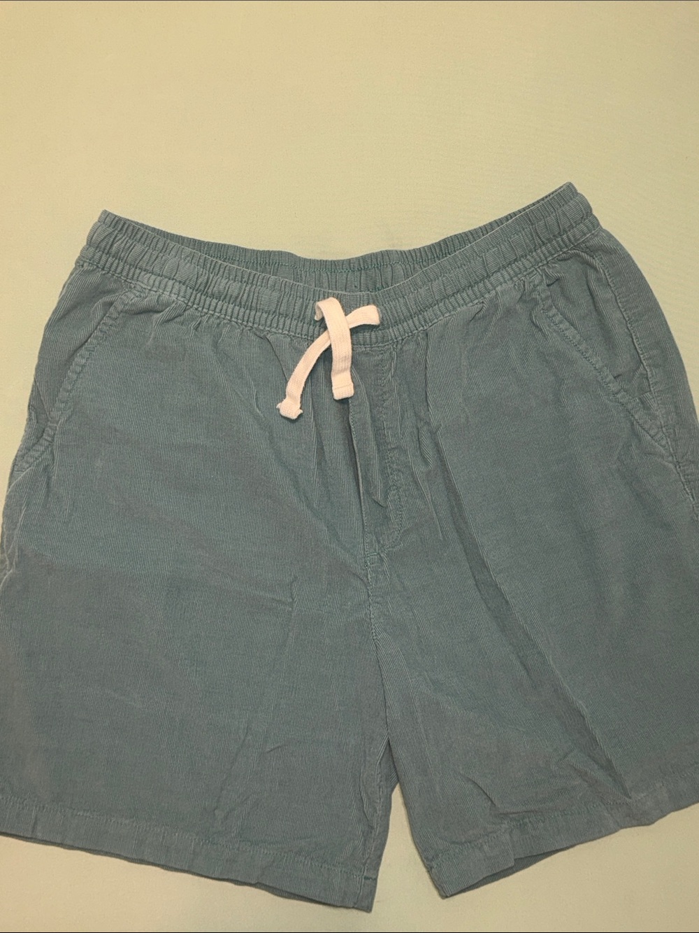 Goodfellow & Co Teal Drawstring Athletic Shorts